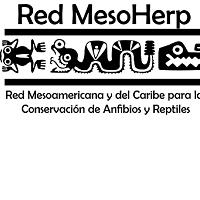 Red Mesoamericana y del Caribe para la Conservación de Anfibios y Reptiles