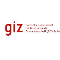 Deutsche Gesellschaft für Internationale Zusammenarbeit (GIZ)