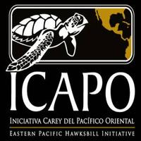 Iniciativa Carey del Pacífico Oriental (ICAPO)