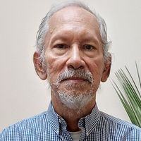 Guillén Pérez, Víctor Manuel