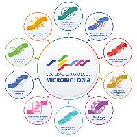 Sociedad Española de Microbiología (SEM)