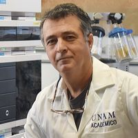 Corzo Burguete, Gerardo Alfonso