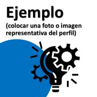 Proyectos del Programa 